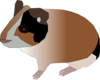 Guinea Pig Clip Art